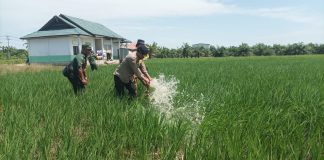 Kementan Genjot Realisasi Program PAT di Riau