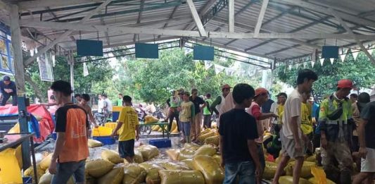 Indonesia Masih Impor 157.000 Ton Biji Kakao