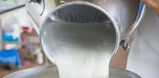 susu sapi segar