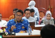 Wamentan Sudaryono Yakin Produksi Padi akan Meningkat Tahun 2025