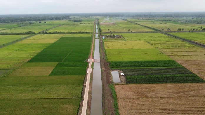  RI Kejar Mimpi Emas: Tiap Pulau Harus Kaya Pangan!