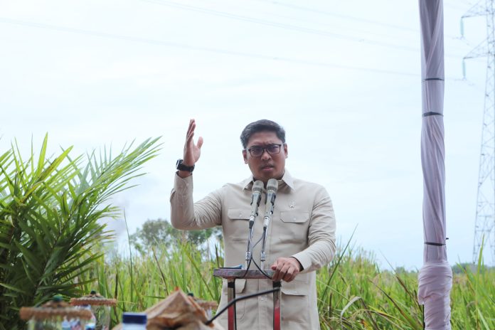 Wakil Menteri Pertanian, Sudaryono