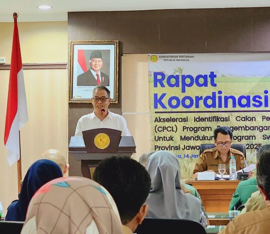Kementan Akselerasi Penanaman Padi Gogo di Jawa Timur