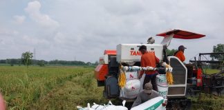 Wujudkan Swasembada Pangan, Kementan dan Densus 88 Bina Eks Napiter dan JI