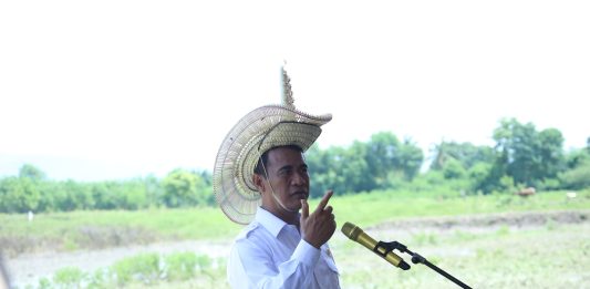 Amran Yakin Tiga Program Ini Bisa Wujudkan Indonesia Lumbung Pangan Dunia