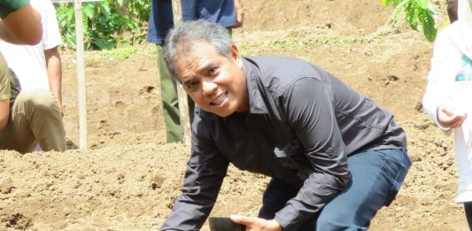 Kementan Tanam Padi Gogo Perdana di Lahan Perhutanan Sosial Mojokerto