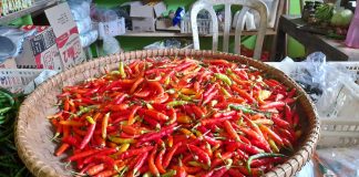 Cegah Cemaran Berbahaya, Bapanas Awasi Ketat Cabai dan Ikan Asin