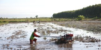 Program Cetak Sawah Kalteng Dimulai, 63.000 Hektare Lahan Sudah Kontrak