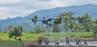 Petani Solok Uji Coba Drone DJI Agras T25 untuk Pemupukan dan Penyemprotan