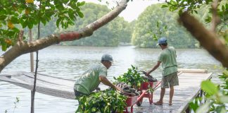 Pupuk Kaltim Konservasi Terumbu Karang Seluas 2.557 M2 dan Mangrove 18 Hektare