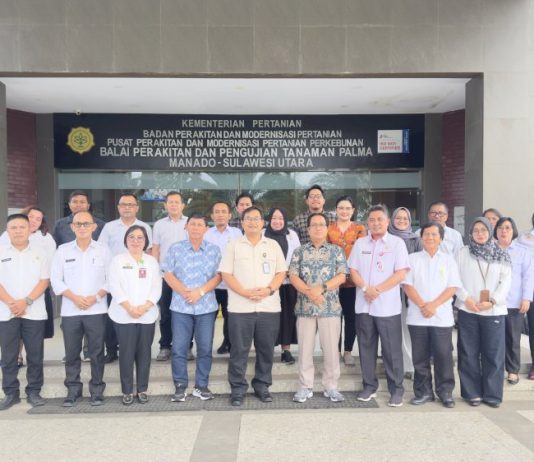 BPDP Mulai Susun Kajian Potensi dan Proyeksi Harga Kelapa Nasional
