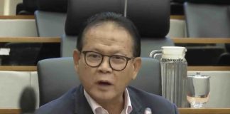 Anggota Komisi IV DPR RI Rokhmin Dahuri menyampaikan kritik dalam rapat kerja bersama Menteri Pertanian di Senayan.