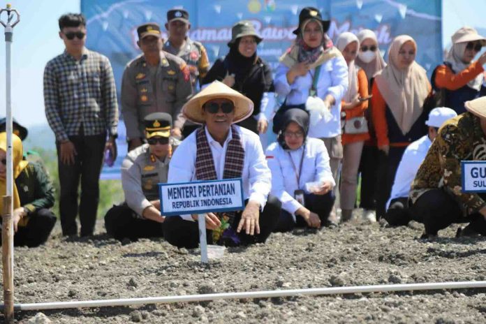 Dalam kunjungan kerjanya ke Kecamatan Banggae, Sabtu (19/7), Mentan Amran mengatakan akan menjadikan Majene, Sulawesi Barat, sebagai calon sentra baru produksi bawang merah nasional.