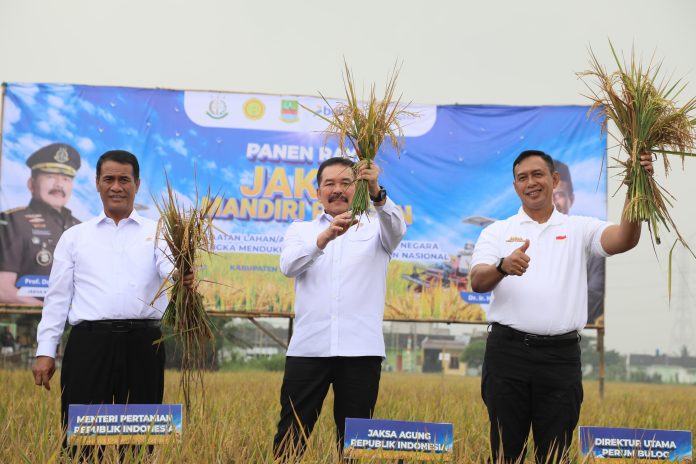 Amran-sulaiman-panen-jaksa-agung