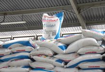 Pupuk Indonesia Gelar Kompetisi Jurnalistik, Hadiah Total Rp 262,5 Juta