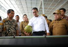 Mentan Amran Minta Industri Naikkan Harga Kelapa Petani