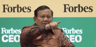 Prabowo Beberkan 5 Juta Hektare Sawit Ilegal
