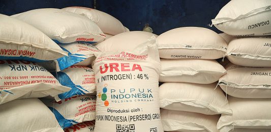 Stok pupuk urea
