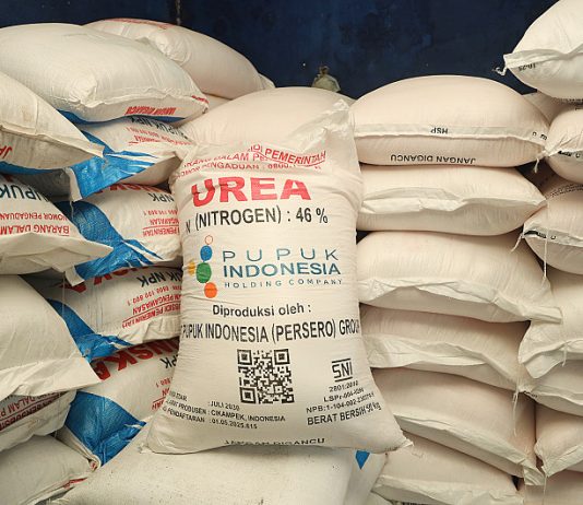 Stok pupuk urea