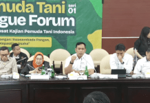 Transformasi Bulog di Era Presiden Prabowo Subianto