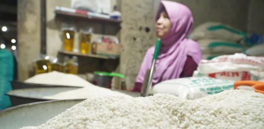 Mentan Amran Bentuk Tim Khusus Kawal Harga Beras di 51 Kabupaten penjual-beras