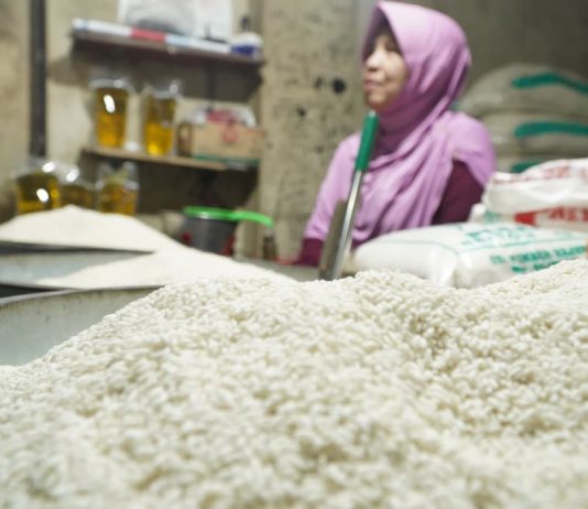Beras Premium Langka, Mentan Amran Duga Pengusaha Alihkan Penjualan ke Fortifikasi penjual-beras