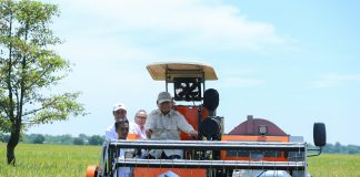 Produksi Beras 2025 Diprediksi Tembus 34,77 Juta Ton