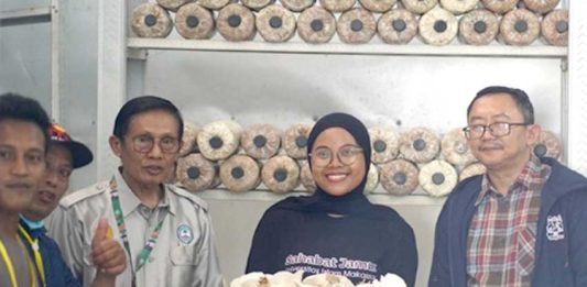 Dari Jamur Sawit untuk Mendukung Gizi Generasi Bangsa