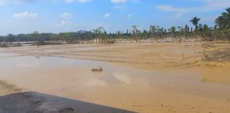 Petani Minta Presiden Prabowo Tetapkan Banjir Sumatra sebagai Bencana Nasional