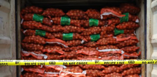 72 Ton Bawang Bombai Ilegal Positif Empat Penyakit Karantina