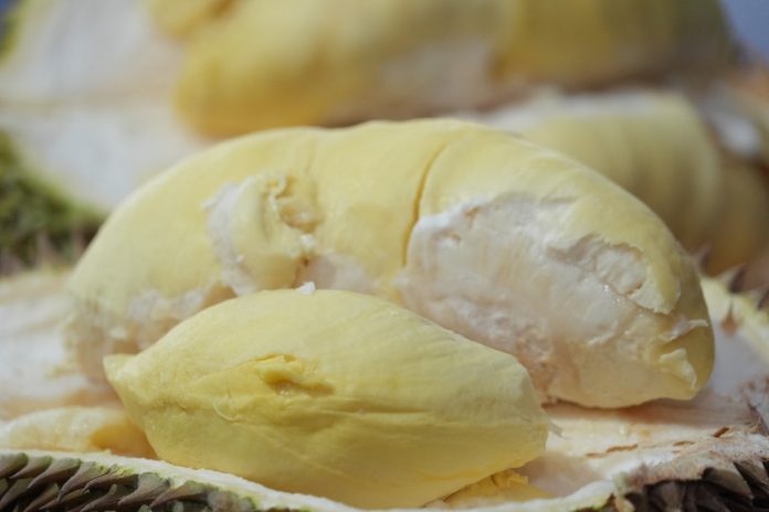 Daging durian berwarna kuning.