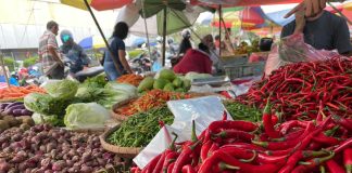 aneka cabai dan bawang