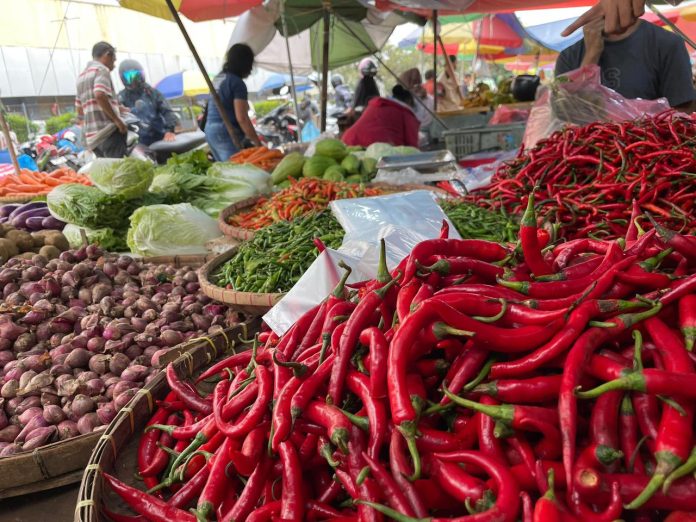 aneka cabai dan sayuran