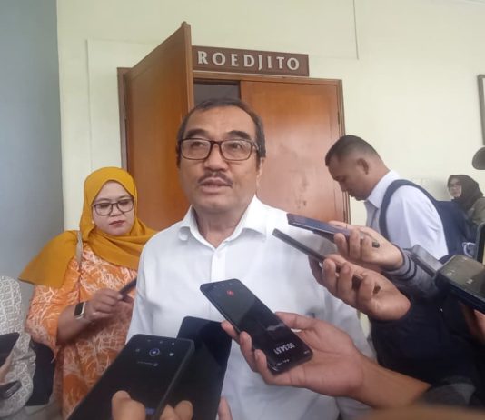 Anggota Dewan Energi Nasional, Fadhil Hasan,