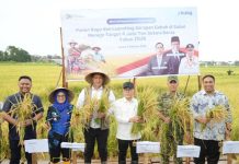 Dirut Bulog dan Menko Pangan Launching Serapan Gabah Petani Sulsel Dirut Bulog, Ahmad Rizal Ramdhani mengenakan topi anyaman