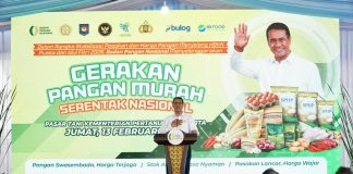 Kepala Badan Pangan Nasional (Bapanas), Andi Amran Sulaiman.