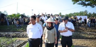 Direktur Jenderal Lahan dan Irigasi Pertanian, Hermanto