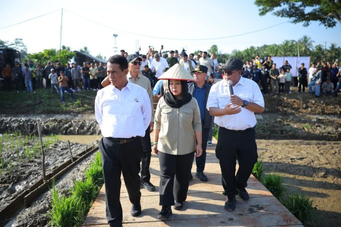 Hermanto Direktur Jenderal Lahan dan Irigasi Pertanian, Hermanto