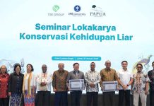 IPB–TSE Ungkap Hasil Riset Konservasi Cenderawasih dan Kura-kura Moncong Babi di Papua Selatan