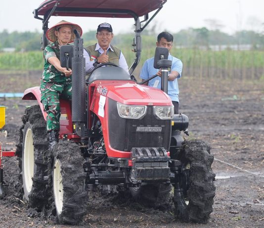 Direktur Utama Perum Bulog, Ahmad Rizal Ramdhani. (t)