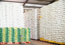 Tumpukan cadangan pangan pemerintah