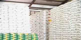 Cadangan beras pemerintah