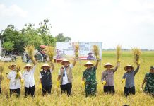 Direktur Utama Perum BULOG, Ahmad Rizal.