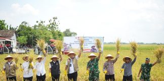 Direktur Utama Perum BULOG, Ahmad Rizal.