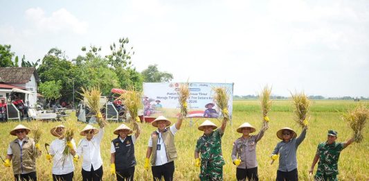 Bulog Optimistis Capai Target 4 Juta Ton Setara Beras Tahun 2026 Direktur Utama Perum BULOG, Ahmad Rizal.