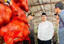 Menteri Pertanian (Mentan), Andi Amran Sulaiman