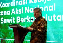 Staf Ahli Bidang Konektivitas dan Pengembangan Jasa Kemenko Perekonomian, Dida Gardera