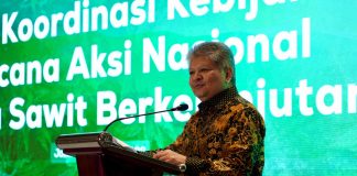 Staf Ahli Bidang Konektivitas dan Pengembangan Jasa Kemenko Perekonomian, Dida Gardera