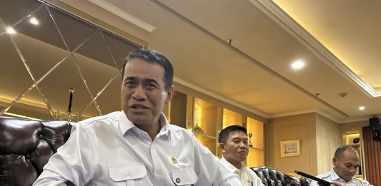 Mentan Amran: Petani RI Andil Turunkan Harga Beras Dunia 44 Persen