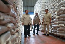 Presiden Prabowo Subianto